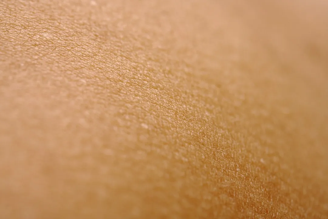 Uma visão de perto da pele de uma pessoa Uma visão de perto da pele de uma pessoa