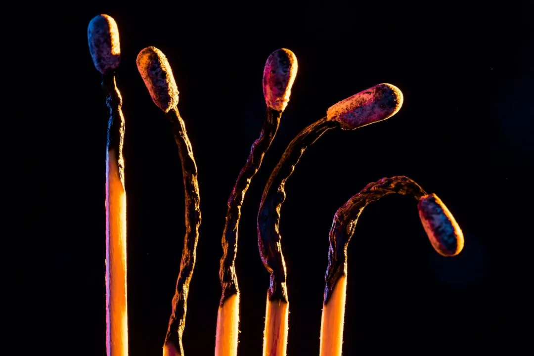 A microbiota intestinal é um ecossistema complexo e vital Representação de um ecossistema complexo de microrganismos