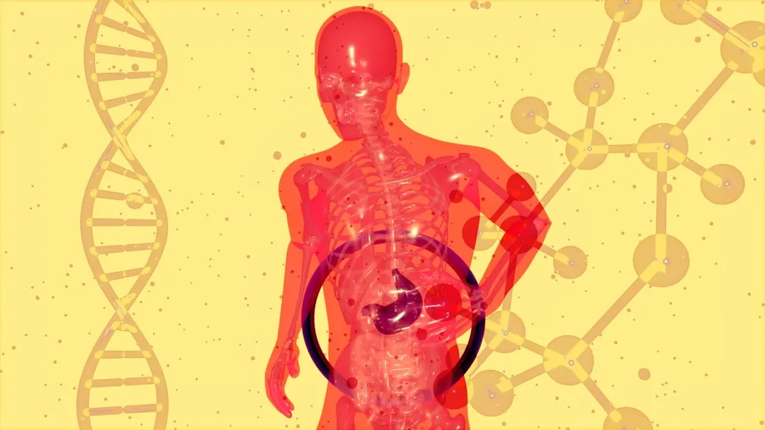 Uma imagem de um corpo humano com um diagrama do corpo humano Uma imagem de um corpo humano com um diagrama do corpo humano