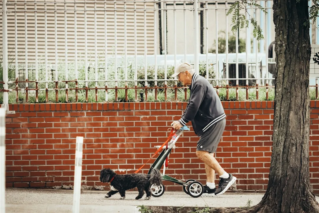 Um idoso caminha com seu cachorro.