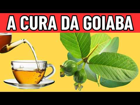 12 DOENÇAS que se CURAM com GOIABA || Para que SERVE a FOLHA DE GOIABA?
