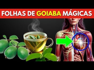9 doenças curadas com chá de folhas de goiaba (como fazer)