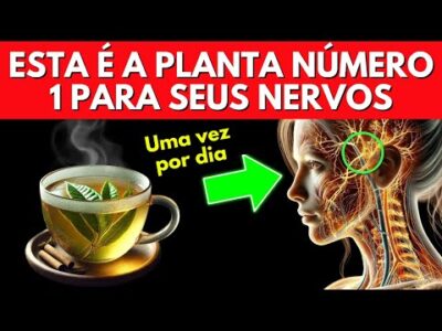 A planta nº 1 para reparar nervos instantaneamente