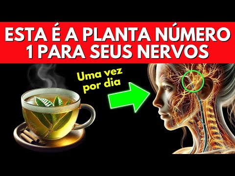 A planta nº 1 para reparar nervos instantaneamente