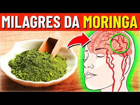 Coma pó de Moringa DIARIAMENTE por 2 semanas e veja o que acontece com seu corpo