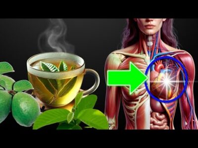 9 Doenças Curadas com Chá de Folha de Goiaba (Como Fazer)
