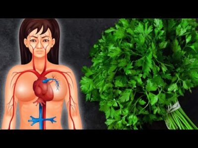 O que acontece com seu corpo quando você come Salsinha todos os dias