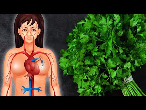 O que acontece com seu corpo quando você come Salsinha todos os dias