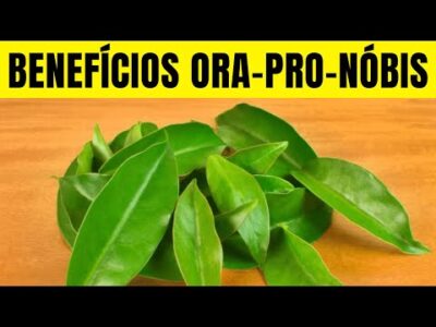 7 Benefícios da ORA-PRO-NOBIS - Para Que Serve e Como Usar (Substitui a Carne? Emagrece?)