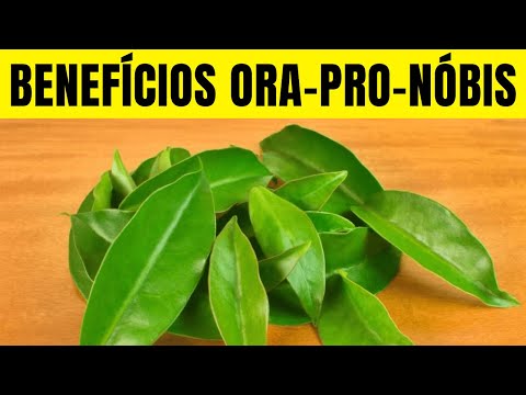 7 Benefícios da ORA-PRO-NOBIS – Para Que Serve e Como Usar (Substitui a Carne? Emagrece?)