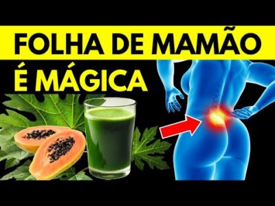 11 benefícios incríveis das folhas de mamão para a saúde
