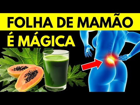 11 benefícios incríveis das folhas de mamão para a saúde